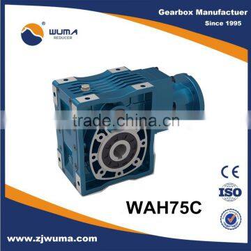 Worm gear motor