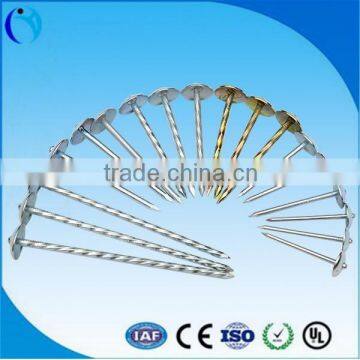 Q195 Smooth Shank Galvanized Umbrella Head Roofing Nails