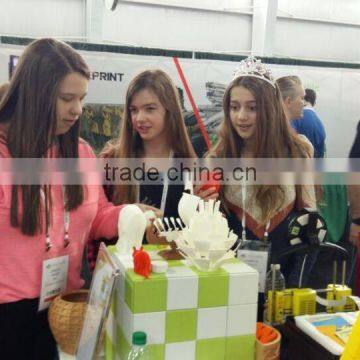 Desktop 3d Printer for Sale/mini 3d Printer in Education
