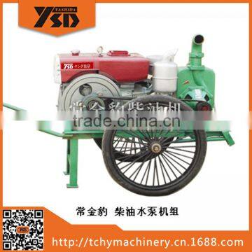 Agriculture Irrigation 8.8KW Water Pump Set With with ZS195Diesel Engine