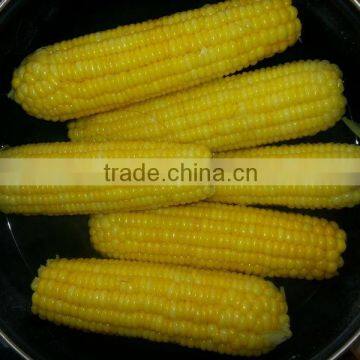 IQF Corn Cut With Best Quality photo-3