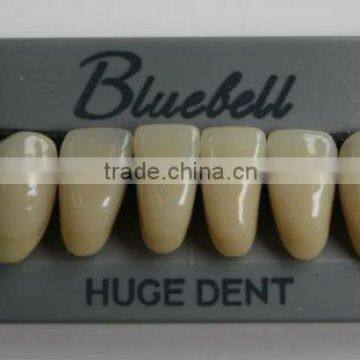Acrylic Teeth Bluebell L4 Anterior Huge Dental
