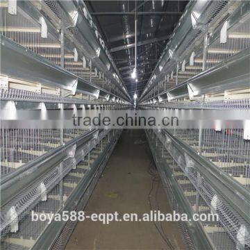 Africa Market Nigeria Farm Use Best Price Pullet Rearing Cage for One Day Old Chicks photo-4