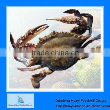 IQF frozen crab blue swimming crab