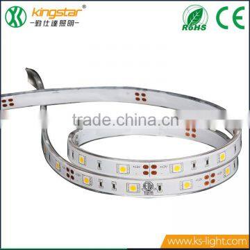 IP68 5050 LED flexible strip light 10mm