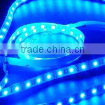 12V 5050SMD led strip with 60pcs blue leds per meter