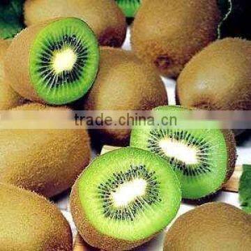 Supply new crop fresh sweet qinmei kiwi with best price