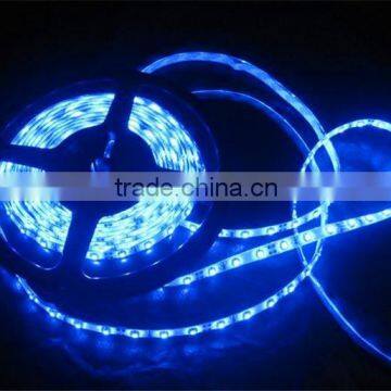 Flexible Led Strip Lights 220V 5050 Led Strip Light photo-3