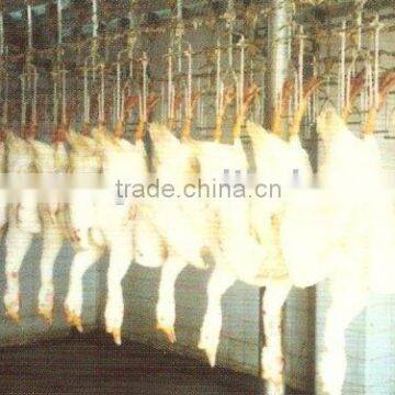 Duck Processing Line