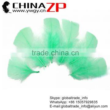 Plumage Crafts ZPDECOR Factory Wholesale Dyed Tiffany Blue Turkey Flat T-Base Body Feathers for Wonderful Decorations