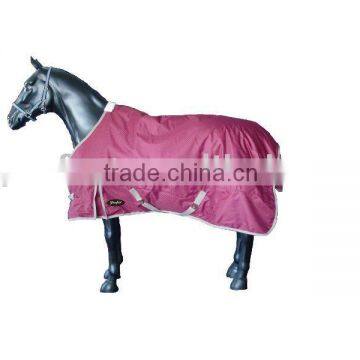 Horse Blanket