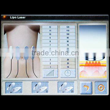 Beauty Equipment New Arrival Radio Diathermy & Lipolitico Diode Laser Skin Whitening Machines photo-6