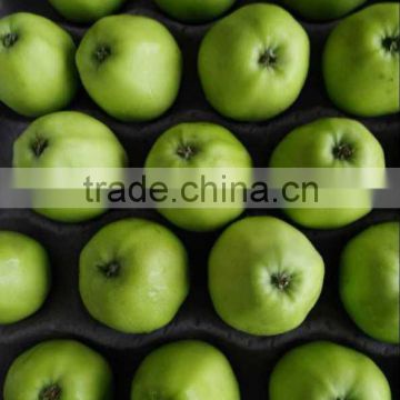 Delicious Fresh Gala Apple Supplier