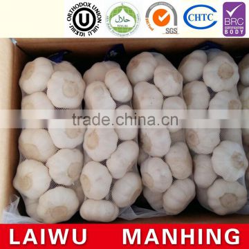 ISO 9001 fresh chinese white garlic