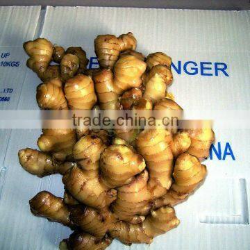 2012 china mature ginger