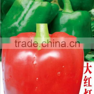 Big Red Lantern-Sweet Pepper Seeds for growing