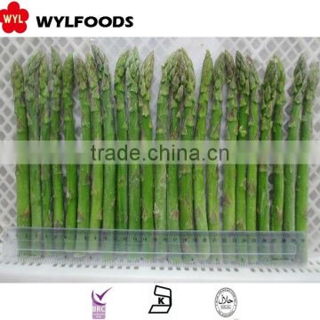 price of frozen green Asparagus green 2015 china