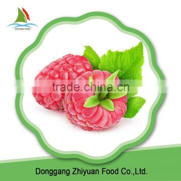 Supply IQF Frozen Black and Red Raspberry Whole with good quality