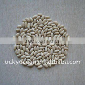 2015 WHITE KIDNEY BEANS(BAI SHA KE)