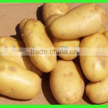 Chinese fresh potatoes