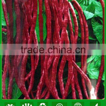 BE10 Ganxin early maturity purple red long bean seeds