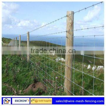 galvanized Cattle Fence/Field Fence/Grassland Fence (Professional supplier)