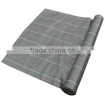 agricultural vegetable protective PP ground cover ,uv treated ,landscape pp woven fabric ,12*12