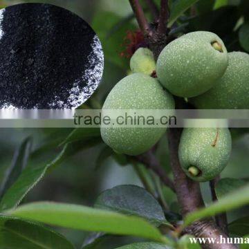 Seaweed Granular Fertilizer/ Amino Acid Fertilizer/ Potassium Humate Fulvic Acid Price