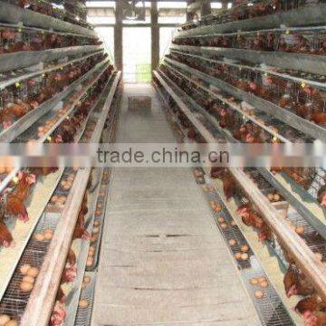 laying hen cages for sale/chicken laying cage