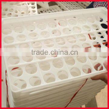 Hatching Eggs Plastic Egg Tray