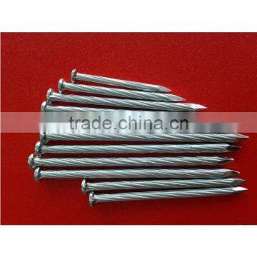 Common Nails/common Iron Nail Factory From China photo-6