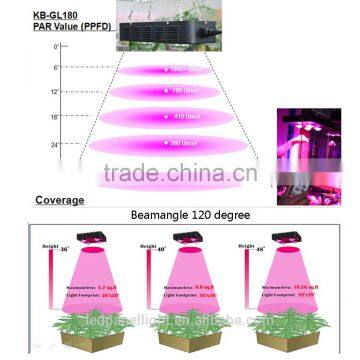 180W MCOB Led Grow Light for Indoor Greenhouse Growing Medical Plants photo-5