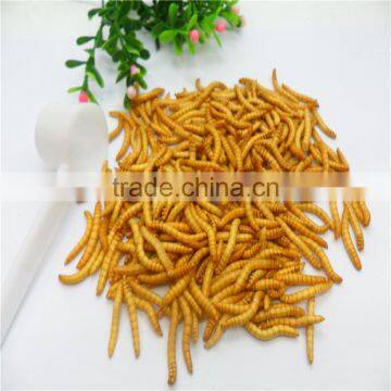 Premium Freeze Dried Mealworms For Bird Food;Natural Mealworms photo-2