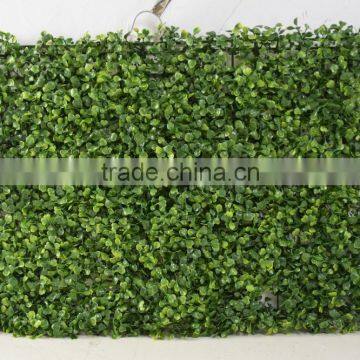 SJ04001114 Garden Decoration Boxwood Artificial Hedge Grass Mat photo-2