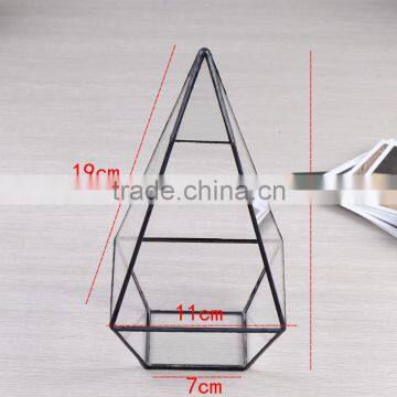 Family Decoration Geometric Terrarium Tabletop Glass Vase Indoor Garden Decor Air Plants Black Frame Flower Pot photo-3