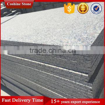 Factory Direct Selling Grey Granite G383 Natural Stone Slab photo-2