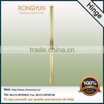 High Quality 75cm Length Long Hinges for Door photo-3