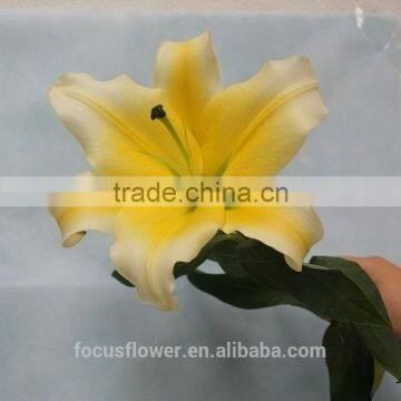 Classical fresh cut flowers best sale from China supplier