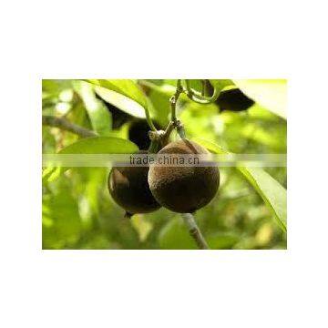 Chaulmoogra Oil photo-3