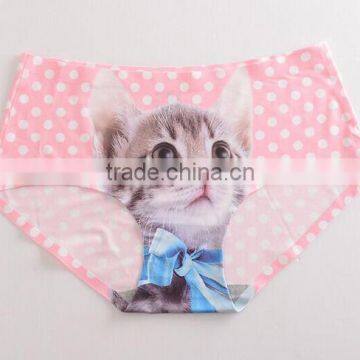 2017 Manufacturer Customized Your Own Brand Design Funny Cute 3D Print 95%Modal 5%Spandex Private Label Women Underwear photo-6