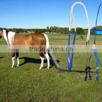 Colorful horse halter--horse halter manufacturer