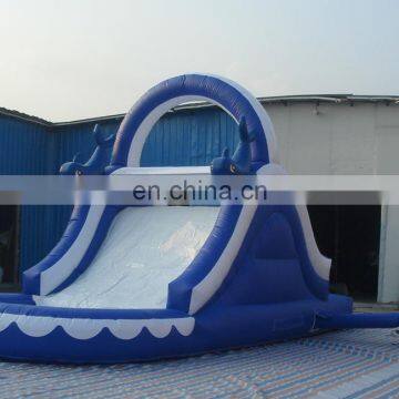 Best PVC Inflatable Water Slide / Used Inflatable Water Slide For Sale photo-2