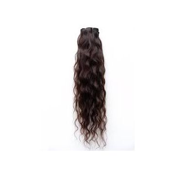 Soft Deep Wave Chocolate 10inch - Mixed Color 20inch Front Lace Human Hair Wigs