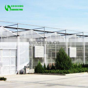 Multispan Tunnel Polycarbonate Panel Greenhouse for Agriculture photo-4