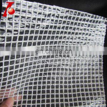 clear color reinforced film for construction scaffolding sheet with blue or red bands