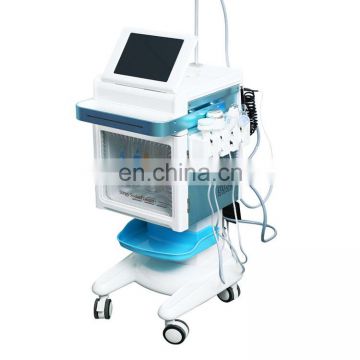 High Quality water facial machine small bubble RF Skin Tightening Clean Blackhead Remover Oxygen Galvanic Facial Machine