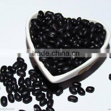 black soya bean