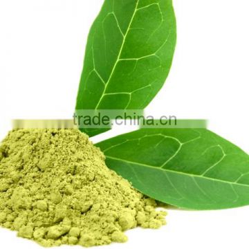 Best Organic Green Tea Bulk Suppliers