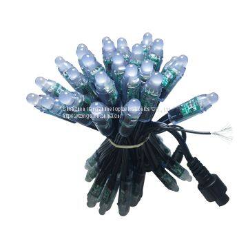 Indoor Decoration, Outdoor Lighting, Advertising Lamp String 12vws2811 Full Color Exposure Lamp, American Full Color Exposure Lamp photo-2