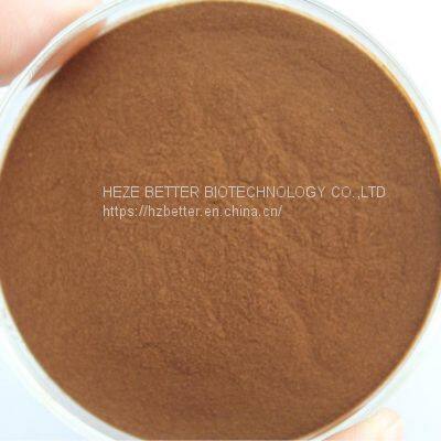 Natural Quality Water Soluble Instant Black Tea Powder photo-2